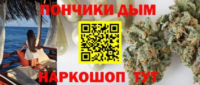 гидропоника Будённовск
